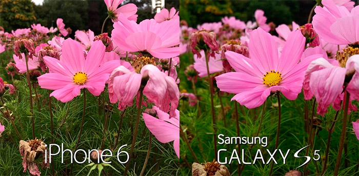 Cámara iPhone 6 vs Samsung Galaxy S5